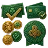 Badge 3